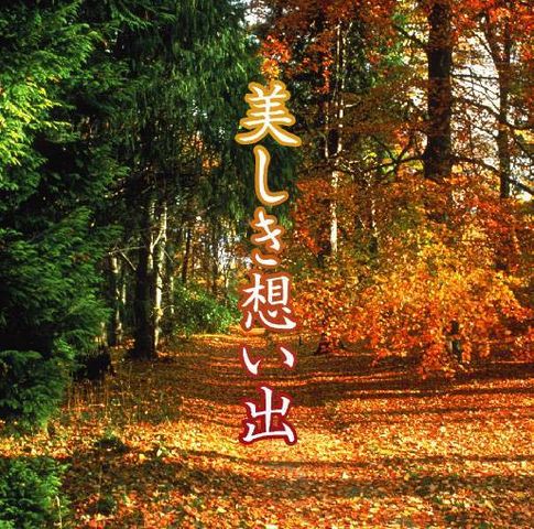 CD 美しき想い出