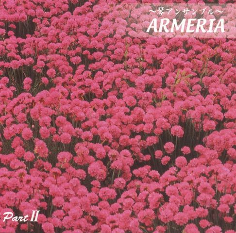CD ~琴アンサンブル~Ameria PartⅡ