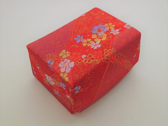 Koto Leg (Nekoashi) Case 03