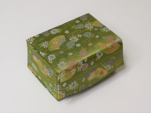 Koto Leg (Nekoashi) Case 04