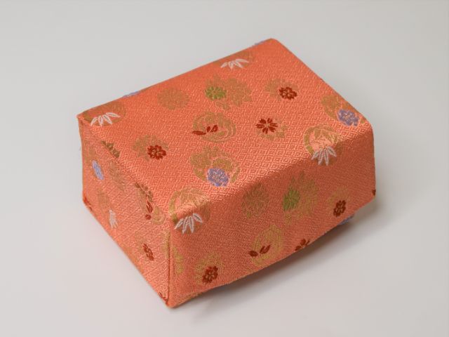 Koto Leg (Nekoashi) Case 01