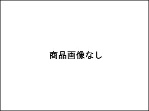 【松下知代】武寧王(ぶねいおう)〜海を渡りし風の先にありし者〜
