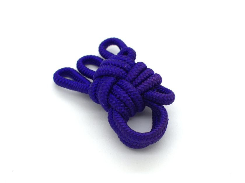 人絹音緒(胡弓)紫