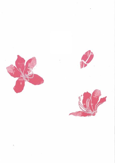 【大月宗明】箏譜 花衣