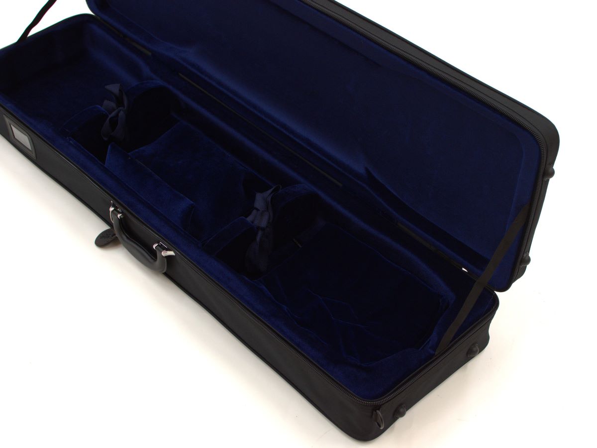 Shamisen Case