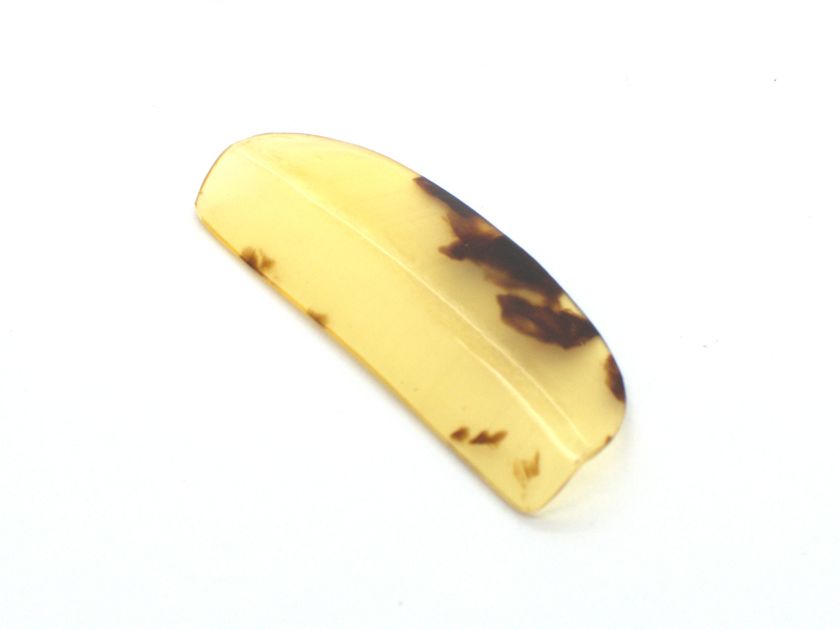 Tortoiseshell Like Neo Koma 02