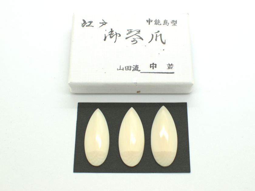 【江戸】山田流 象牙爪(中能島型・中)