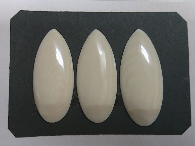 山田流 象牙爪（中）