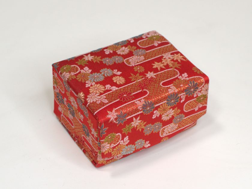 Koto Leg (Nekoashi) Case 05
