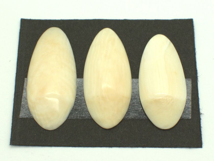 ＊訳あり＊山田流 象牙爪（大々）１４