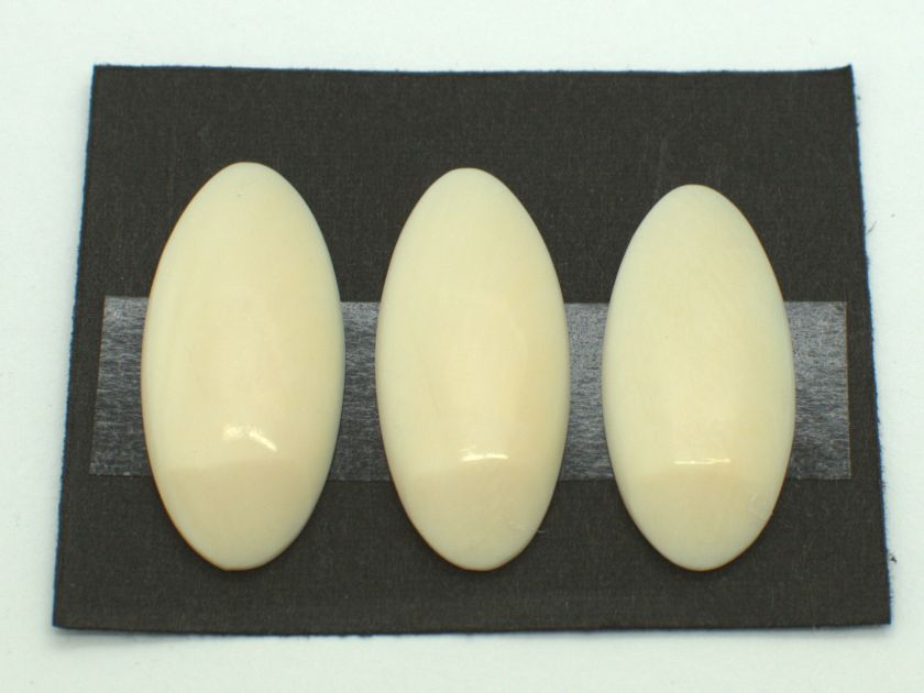 山田流 象牙爪（大）１５